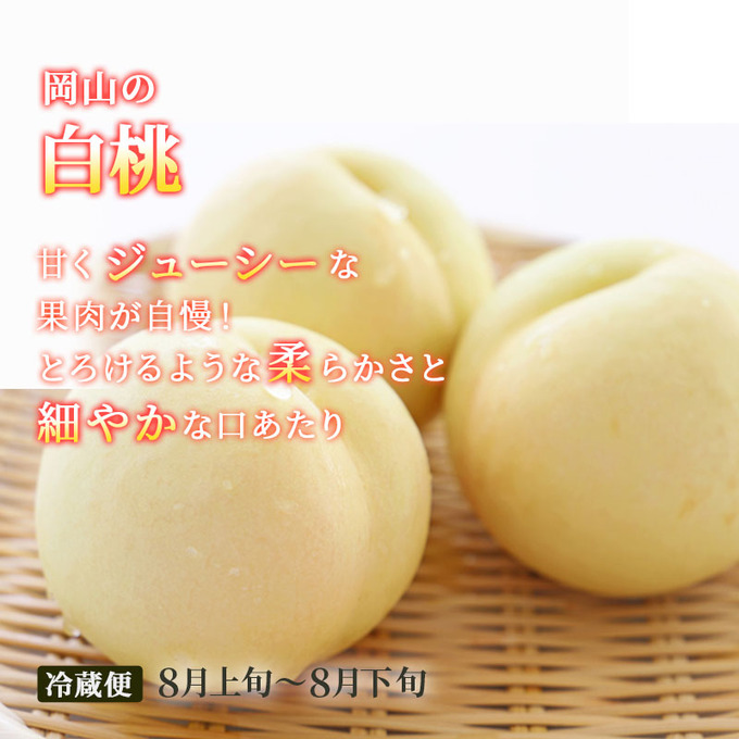 フルーツ 定期便 2026年 先行予約 晴れの国 おかやま 5回コース 桃 もも モモ 葡萄 ぶどう ブドウ 岡山県産 国産 果物 セット ギフト 梨 白桃 シャインマスカット ピオーネ 