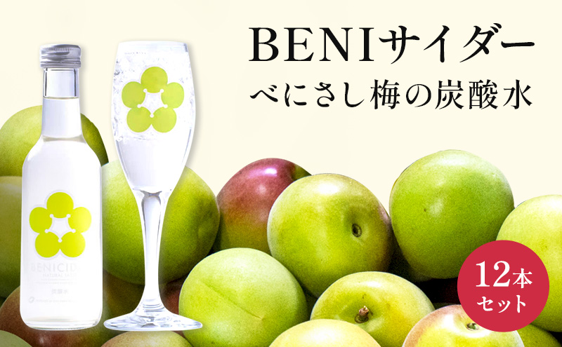 【福井県若狭町】炭酸 BENIサイダー 12本 セット 炭酸飲料 飲料 梅サイダー サイダー 紅映 梅 うめ ウメ 福井県 福井