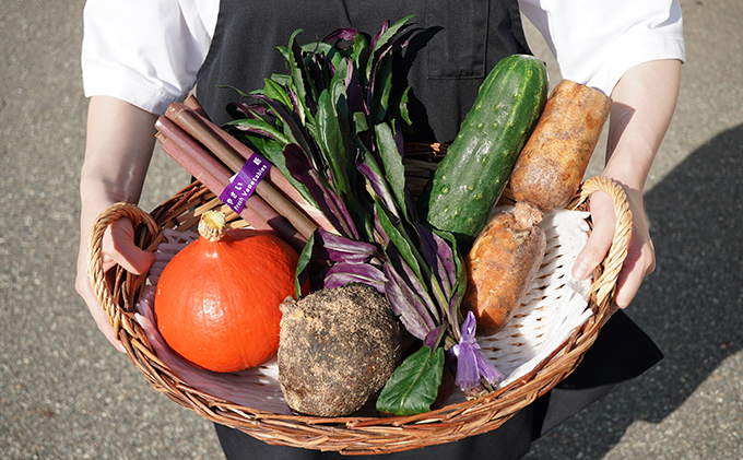 【石川県能美市】加賀の野菜おまかせ便 セット 詰合せ