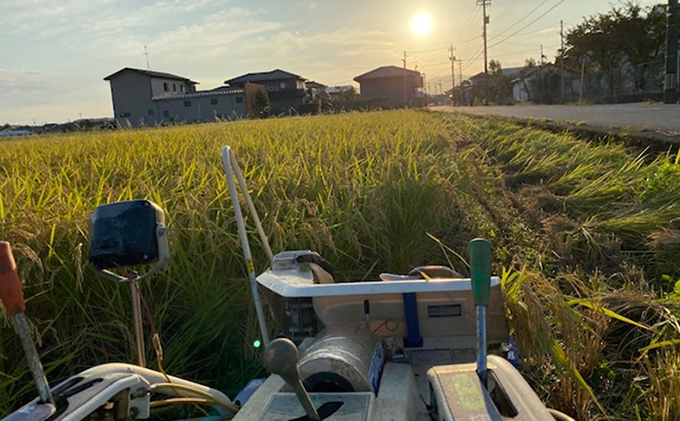 天日干有機米こしひかり「天地の誉」白米5kg×2個 お米 コシヒカリ 