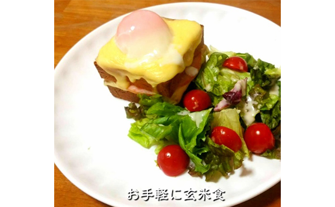 無農薬・有機栽培米100％使用の玄米粉（米粉）でグルテンフリー プチ玄米食パン 16個セット（プレーン・クルミ・レーズン・ごま） 朝食 玄米パン 