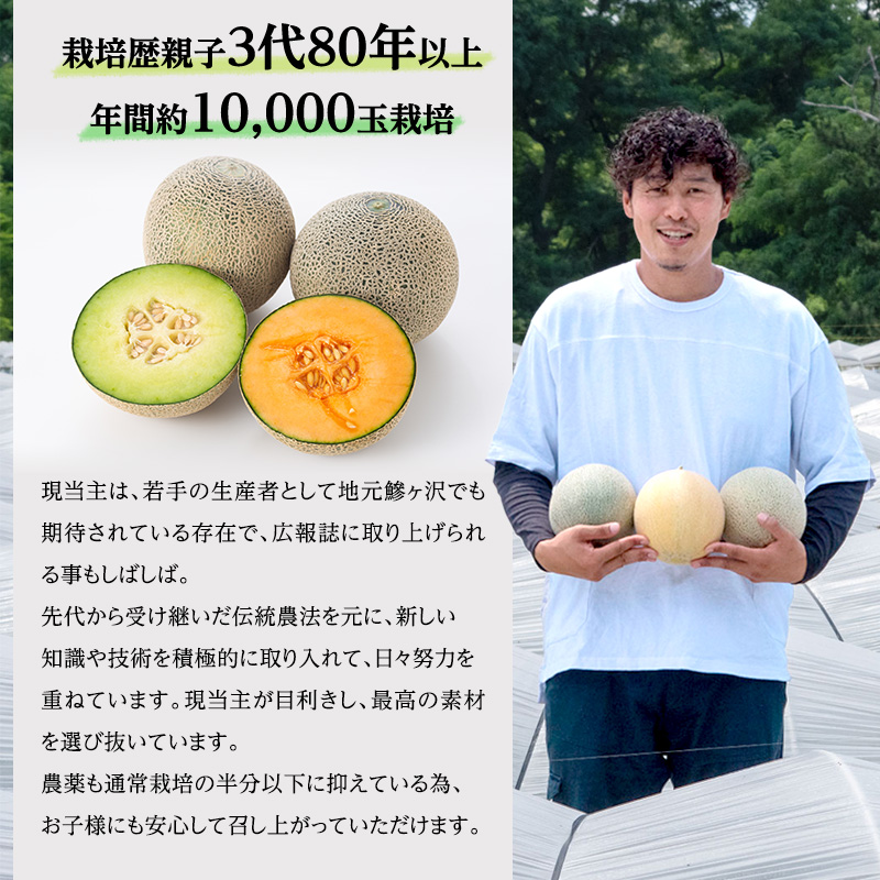 先行予約2025年産】津軽産 減農薬栽培メロン 3～4玉 糖度16度