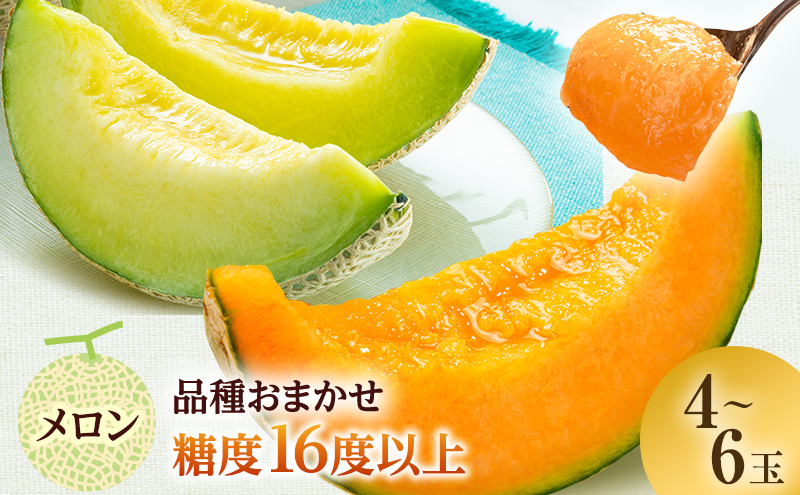 �y�X���˃��򒬁z������ ��s �\�� �X ���_��͔|������ 4�`6�� ���x16�x�ȏ�ۏ� ���_�� �� �ԓ� �������� �ԓ������� �t���[�c �ʕ� �{�̃t���[�c �{�̉ʕ� �{ �� ���r���[ ���]�� ��s�\�� 2026 2026�N �X��