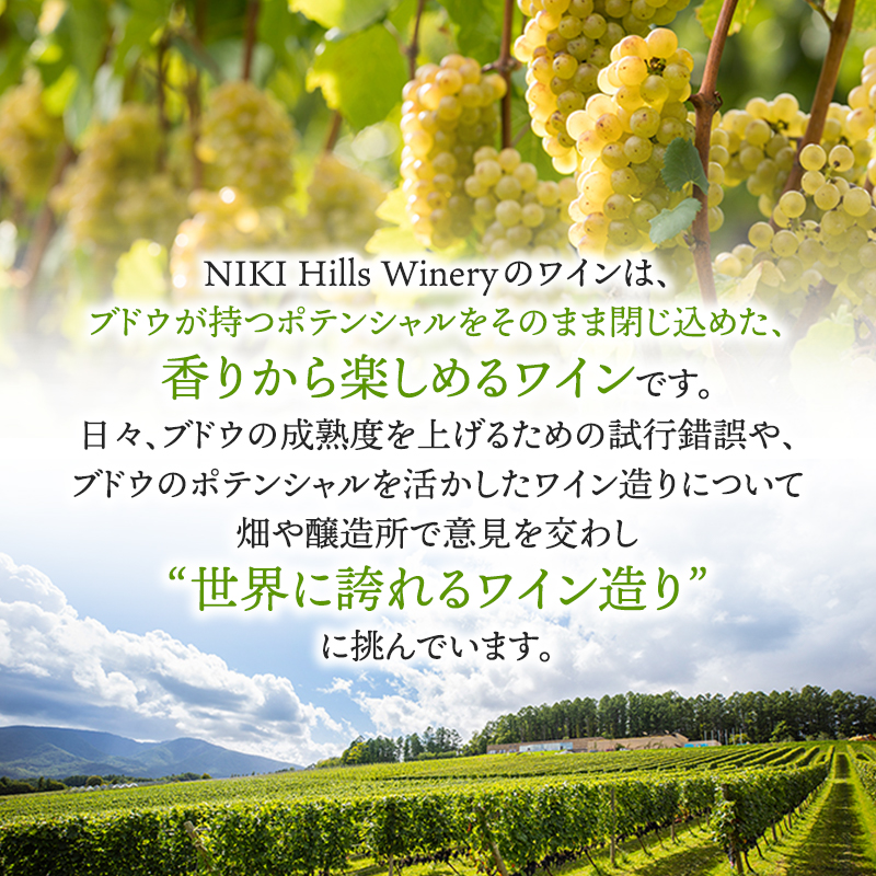 NIKI Hills Winery ファーストエクスペリエンスワインセット【 3本セット 】 白ワイン ワインセット 洋酒 お酒 アルコール ブドウ ぶどう 辛口 甘口 [株式会社NIKI Hillsヴィレッジ]