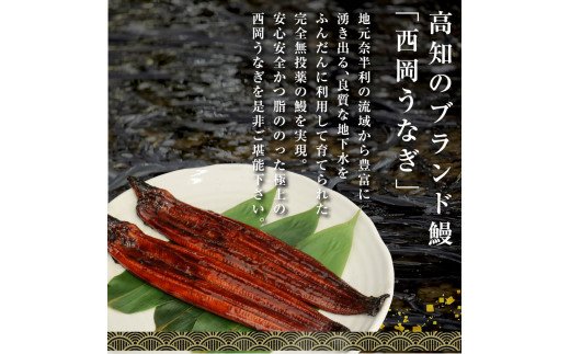 t120kgp　《3ヵ月定期便》人気惣菜 本気の高知ブランド鰻「西岡うなぎ」～特上（特大サイズ）～うなぎの蒲焼き2尾セット（約400g）タレ・山椒付き｜ウナギ 国産 特産品 鰻の蒲焼き 高知県産 土佐 グルメ 蒲焼 焼きたて 丼 うな重 ひつまぶし〈田野町共通返礼品〉