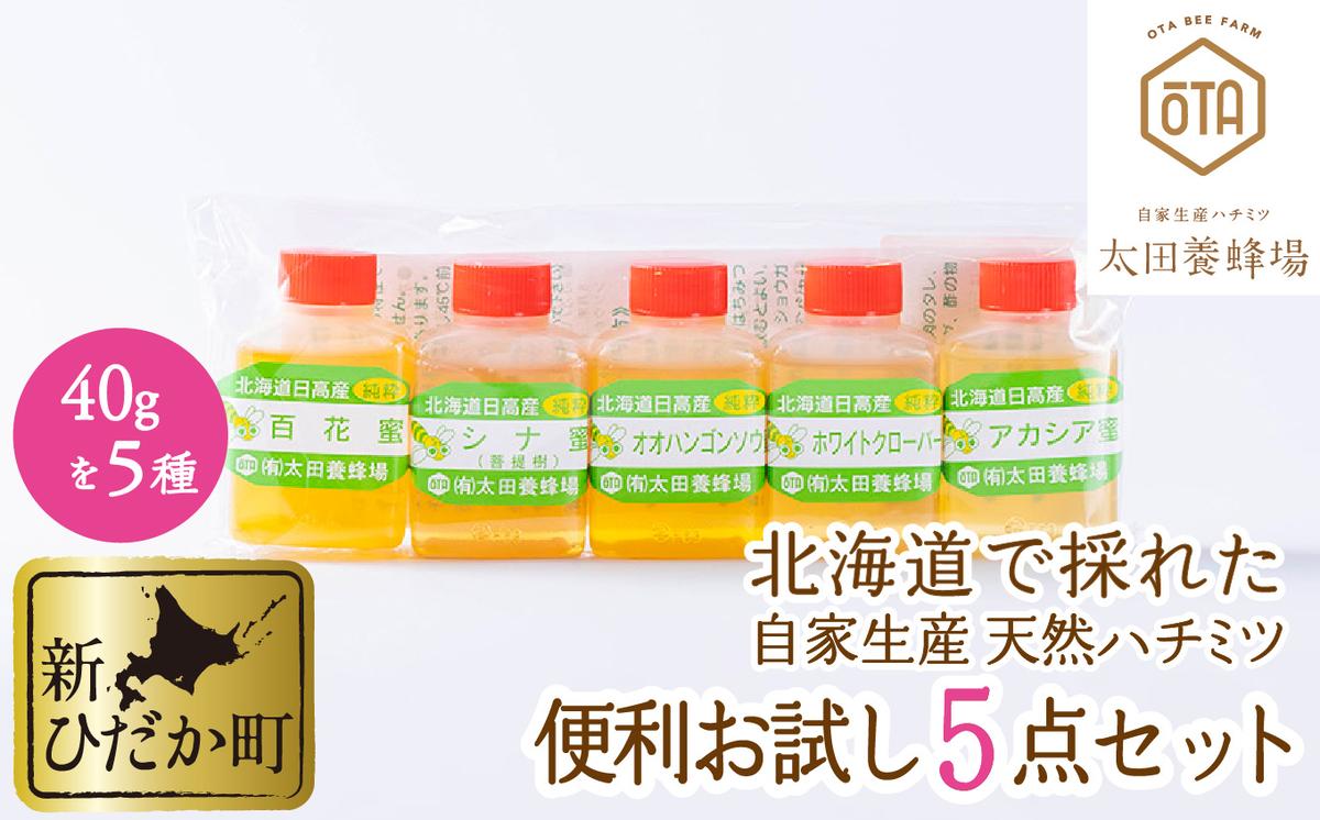 【北海道新ひだか町】北海道産 はちみつ 5種 各40g お試し 食べ比べ セット
