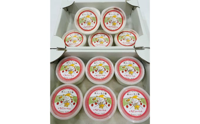 いちごアイス 2種 各5個 セット 浜いちご アイスクリーム シャーベット 詰め合わせ フルーツアイス フルーツシャーベット いちご お菓子 菓子 おやつ デザート スイーツ 千葉 千葉県 九十九里町 九十九里