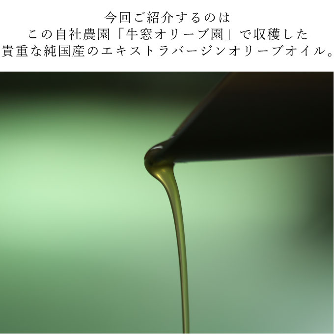 エキストラバージンオリーブオイル　うしまど【牛窓オリーブ園産100%】2本 食用油/オリーブオイル 調味料 