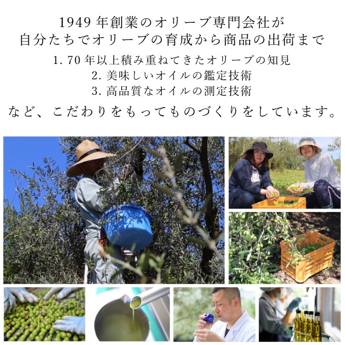 エキストラバージンオリーブオイル　うしまど【牛窓オリーブ園産100%】2本 食用油/オリーブオイル 調味料 