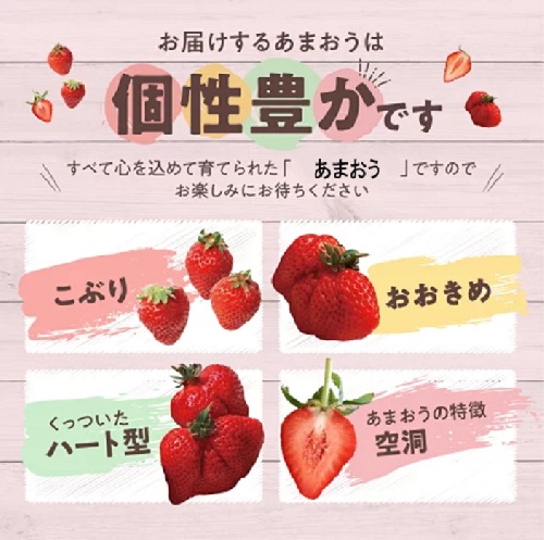 福岡県新宮町のふるさと納税 人気１位獲得謝礼品★限定品★あまおう約１，０８０g（先行受付／２０２６年３月以降発送）.A1609【あまおう】