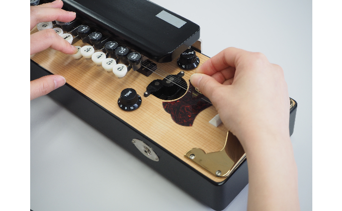 初心者用ソプラノ大正琴「若葉」 雑貨 日用品 楽器 入門モデル 琴伝流