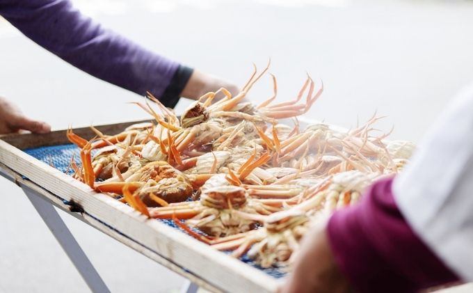 新物 セコガニ コッペがに ほぐし身（特特大サイズ）3個セット 甲羅盛り〈11月中旬～2026年3月末発送〉 蟹 カニ かに 松葉蟹 松葉ガニ ズワイガニ ボイル