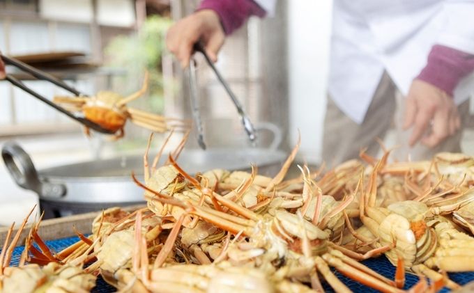 新物 セコガニ コッペがに ほぐし身（特特大サイズ）3個セット 甲羅盛り〈11月中旬～2026年3月末発送〉 蟹 カニ かに 松葉蟹 松葉ガニ ズワイガニ ボイル