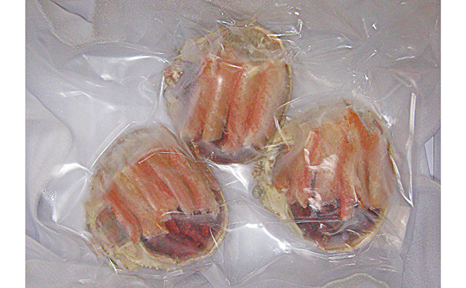 新物 セコガニ コッペがに ほぐし身（特特大サイズ）3個セット 甲羅盛り〈11月中旬～2026年3月末発送〉 蟹 カニ かに 松葉蟹 松葉ガニ ズワイガニ ボイル