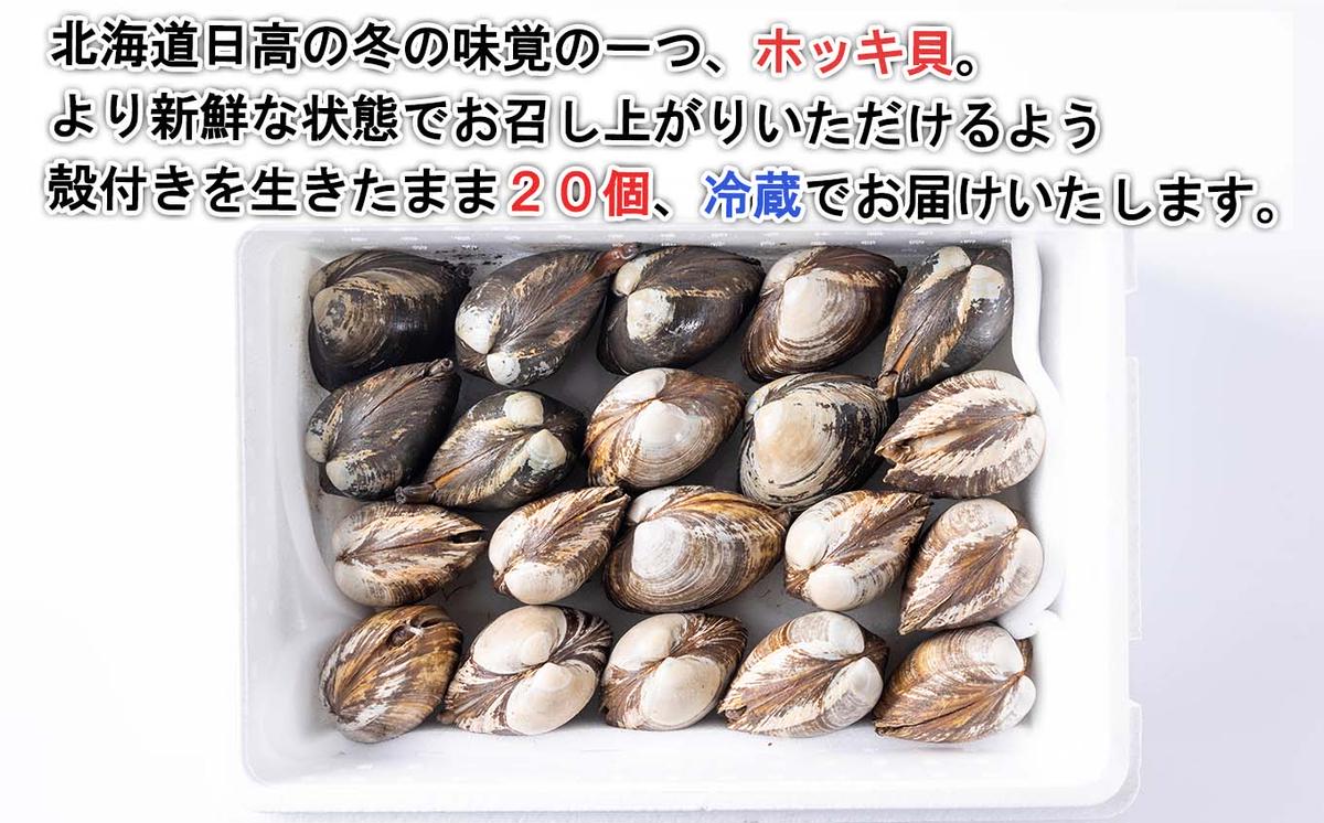 北海道産 活ホッキ 貝 20個  ホッキ 北寄 北寄貝 貝 殻付き 海鮮 海産物 新鮮 旬