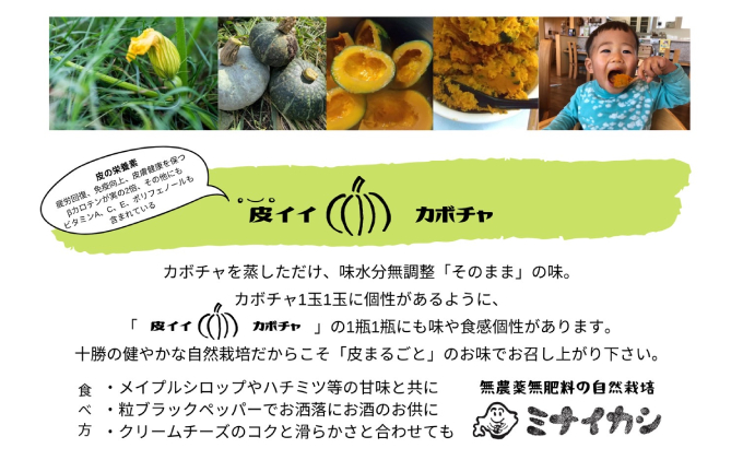 自然栽培かぼちゃをマッシュした「ミナイカシの皮イイカボチャ」110g×6 野菜 根菜 野菜加工品 南瓜 