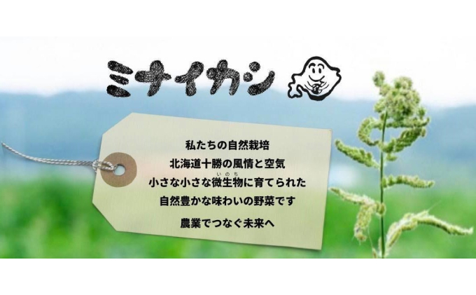 自然栽培かぼちゃをマッシュした「ミナイカシの皮イイカボチャ」110g×6 野菜 根菜 野菜加工品 南瓜 