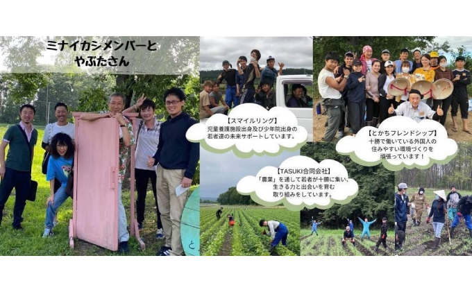 自然栽培かぼちゃをマッシュした「ミナイカシの皮イイカボチャ」110g×6 野菜 根菜 野菜加工品 南瓜 