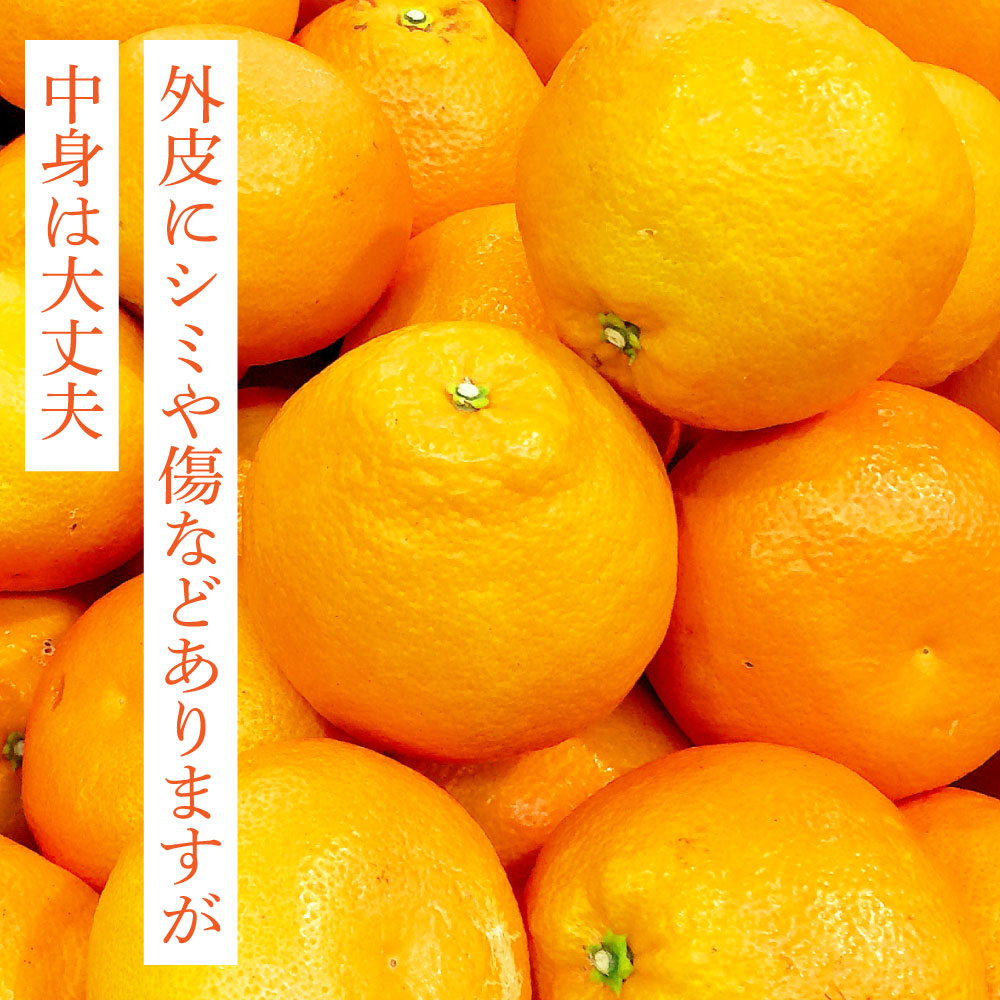 SKS027　訳あり “高知県産”ご家庭用ぽんかん（約5kg）〈須崎市共通返礼品〉みかん 農家直送 サイズ混合 有機質肥料100% ミカン 訳アリ ワケアリ 数量限定