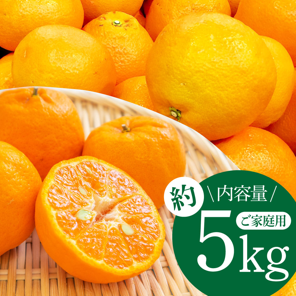SKS027　訳あり “高知県産”ご家庭用ぽんかん（約5kg）〈須崎市共通返礼品〉みかん 農家直送 サイズ混合 有機質肥料100% ミカン 訳アリ ワケアリ 数量限定