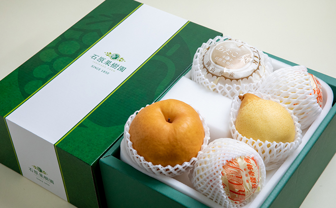 梨 2025年 先行予約 あたご梨・鴨梨（ヤーリー）詰合せ 合計約3kg あたご2～3玉 鴨梨3～4玉 贈答箱【11月下旬～12月中旬頃発送】 ナシ なし 岡山県産 国産 フルーツ 果物 ギフト 石原果樹園