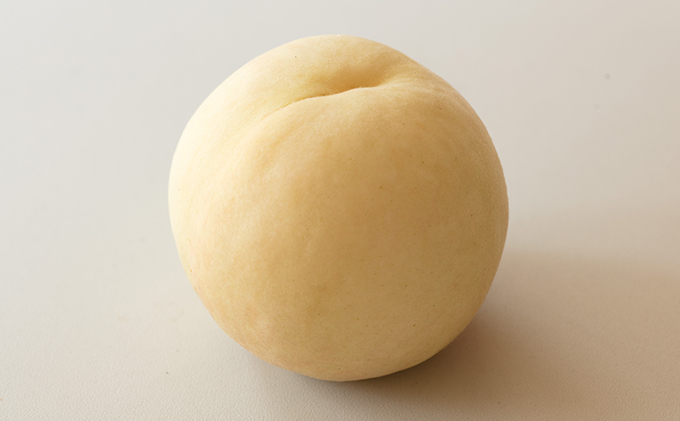 桃 2026年 先行予約 井頭 白桃 4～6玉入り 1.5kg規格箱 もも モモ 岡山県産 国産 フルーツ 果物 ギフト 井頭栄果園 