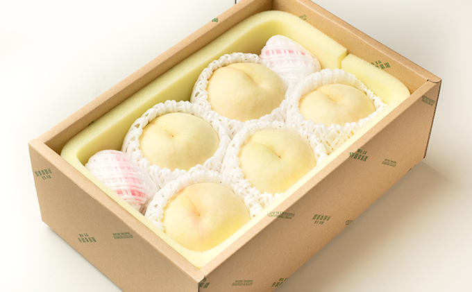 桃 2026年 先行予約 井頭 白桃 4～6玉入り 1.5kg規格箱 もも モモ 岡山県産 国産 フルーツ 果物 ギフト 井頭栄果園 