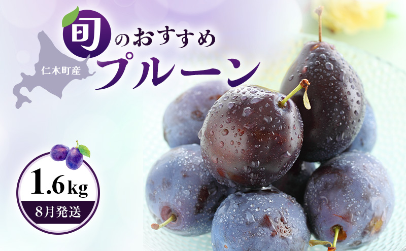[先行受付] 【8月発送】北海道 仁木町産 おすすめプルーン1.6kg（400g×4パック） 果物類 果物 くだものフルーツ 果物詰合せ プルーン [和田農園]