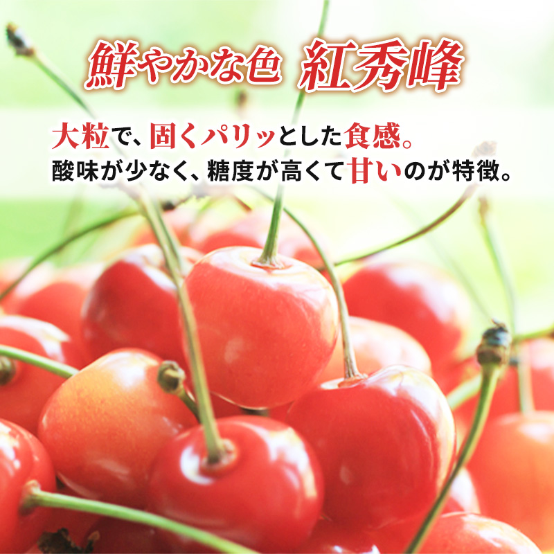 北海道仁木町のふるさと納税 先行受付 北海道 仁木町産  さくらんぼ 紅秀峰 600g(300g×2パック) Lサイズ以上  旬 桜桃 産地直送 サクランボ チェリー フルーツ 果物 果物類  仁木町 仁木 [松山商店]