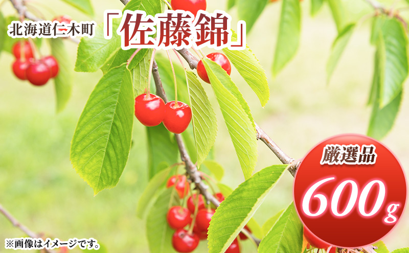 北海道仁木町のふるさと納税 北海道 仁木町産 厳選品 さくらんぼ 佐藤錦 600g (300g×2パック) Lサイズ以上  旬 桜桃 産地直送 サクランボ チェリー フルーツ 果物 果物類 ギフト 仁木町 仁木 [松山商店]