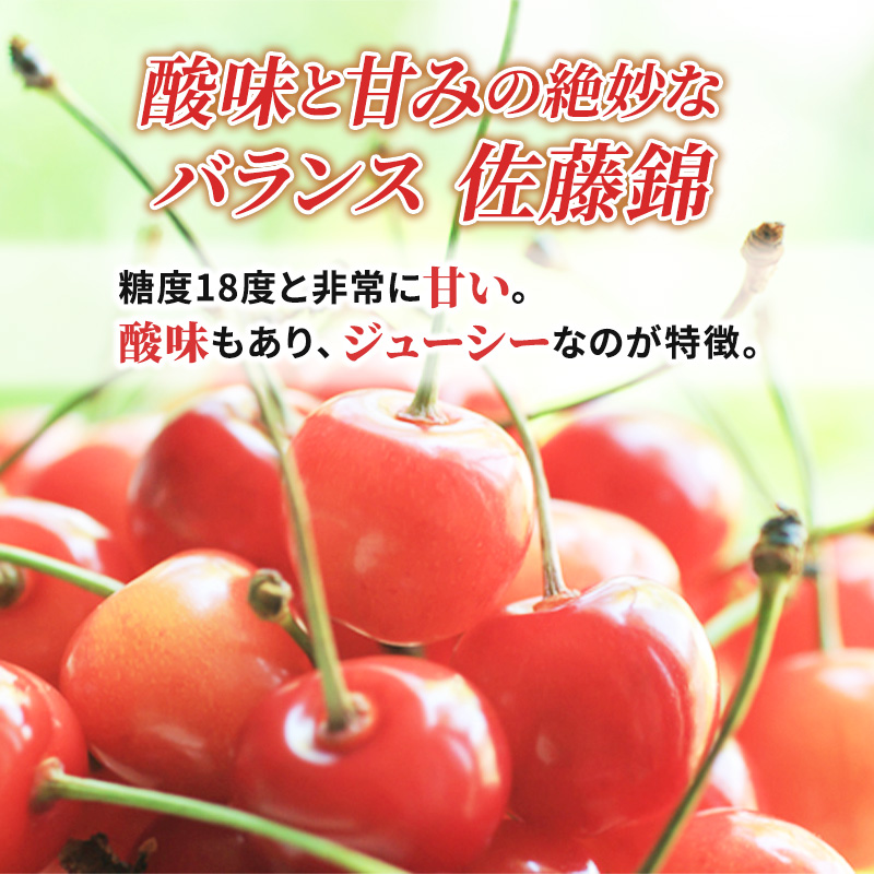 北海道仁木町のふるさと納税 北海道 仁木町産 厳選品 さくらんぼ 佐藤錦 600g (300g×2パック) Lサイズ以上  旬 桜桃 産地直送 サクランボ チェリー フルーツ 果物 果物類 ギフト 仁木町 仁木 [松山商店]