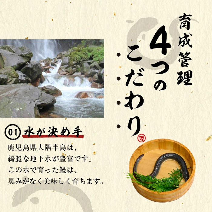 鹿児島県志布志市のふるさと納税 【お礼の品人気No1】霧島湧水鰻の蒲焼き 140g以上×5尾＜計700g以上＞ b2-048