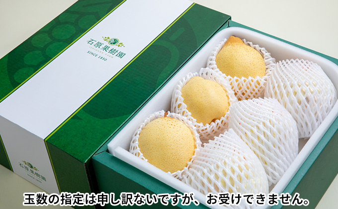梨 2025年 先行予約 鴨梨（ヤーリー）5～10玉 合計約3kg 贈答箱 【11月下旬～12月中旬頃発送】ナシ なし 岡山県産 国産 フルーツ 果物 ギフト 石原果樹園 ヤリー 