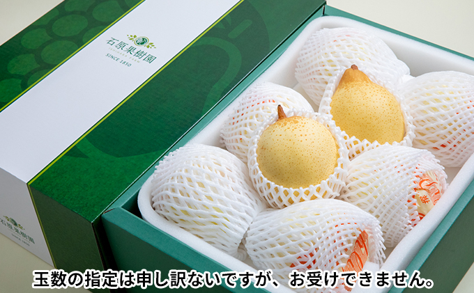 梨 2025年 先行予約 鴨梨（ヤーリー）6～10玉 約4kg 贈答箱 【11月下旬～12月中旬頃発送】ナシ なし 岡山県産 国産 フルーツ 果物 ギフト 石原果樹園 ヤリー 