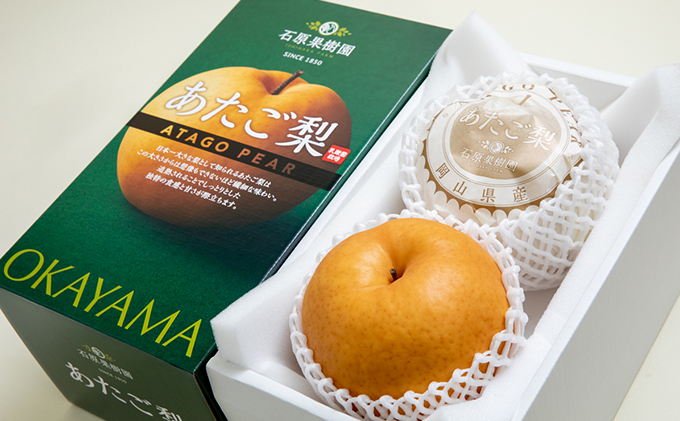 岡山県玉野市のふるさと納税 梨 2025年 先行予約 あたご梨  2玉 (1玉 約850g) 化粧箱 【11月下旬～12月中旬頃発送】ナシ なし 岡山県産 国産 フルーツ 果物 ギフト 石原果樹園 愛宕梨 日本一大きい梨