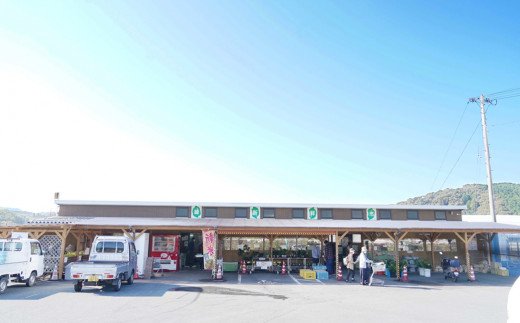 緑新鮮市の「洋の食」あいなんの便り