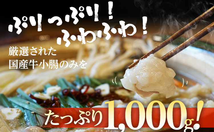 福岡県大木町のふるさと納税 国産牛もつ　もつ鍋セット　10人前　1,000g　　BU001