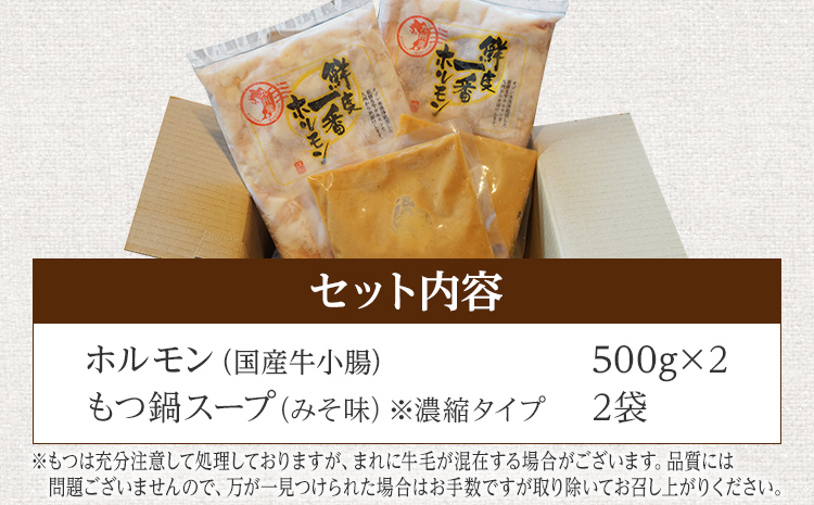 福岡県大木町のふるさと納税 国産牛もつ　もつ鍋セット　10人前　1,000g　　BU001