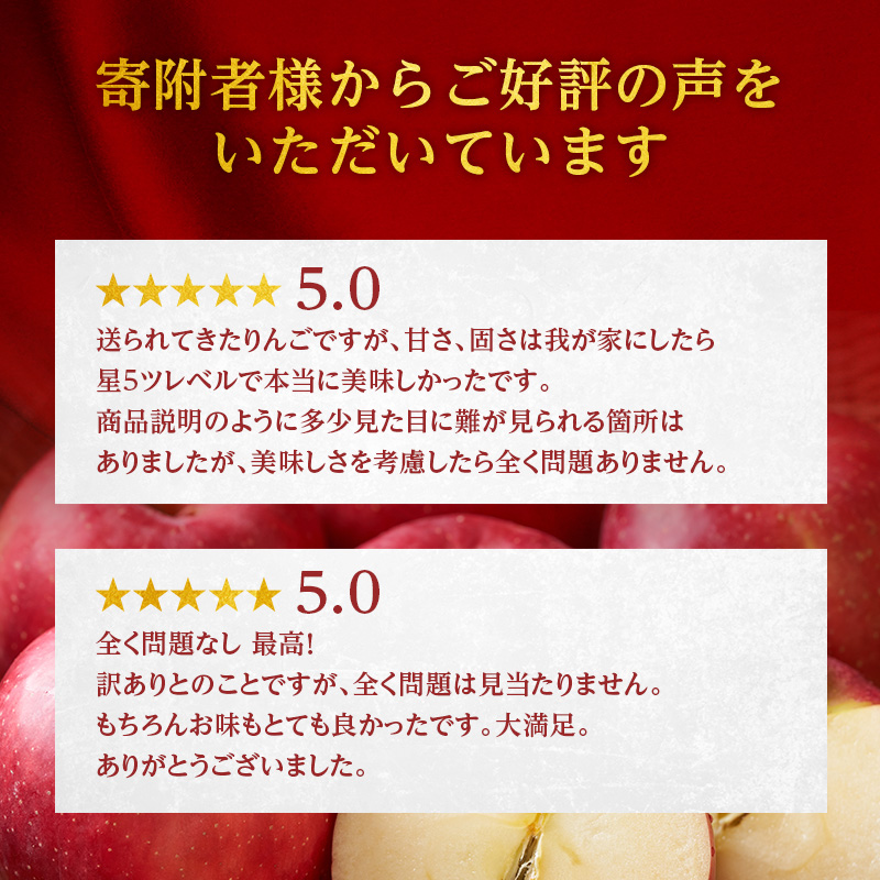 りんご 訳あり 青森 サンふじ 約 5kg （12～18玉) リンゴ サイキチ農園 青森県 鰺ヶ沢町産 フルーツ 果物 不揃い 傷 林檎 サンフジ ふじ 12月～1月発送 