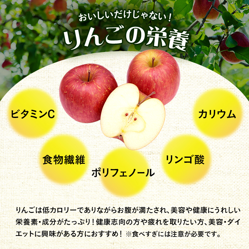青森県産 減農薬 訳ありりんご「サンふじ」梱包込み約20キロ ピンコサイズ りんご 訳あり 青森 サンふじ 約 5kg （12～18玉) リンゴ