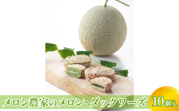 yΐ쌧\sz_Ƃ̃E_bN[Y10 َq ĉَq XC[c