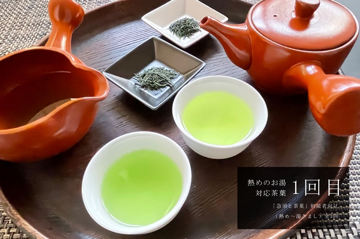 京都「プロ並み急須と茶葉セット」　初級者向け（熱め～湯さまし）全3回×3ヵ月コース〈定期便 お茶 茶 煎茶 緑茶 茶葉 雁が音 茎茶 焙じ ほうじ茶 急須 陶器 工芸品 セット〉 飲料類 加工食品 