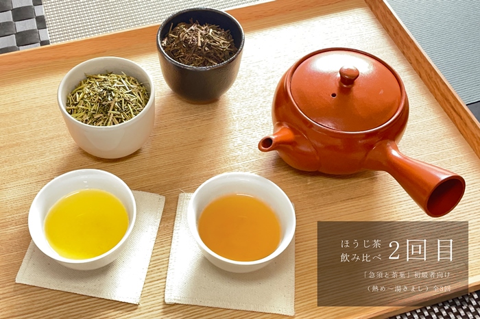 京都「プロ並み急須と茶葉セット」　初級者向け（熱め～湯さまし）全3回×3ヵ月コース〈定期便 お茶 茶 煎茶 緑茶 茶葉 雁が音 茎茶 焙じ ほうじ茶 急須 陶器 工芸品 セット〉 飲料類 加工食品 