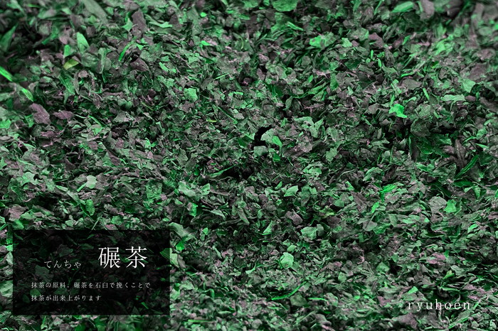 初めての「茶道具と抹茶」セット（初回＝薄茶、2回目＝濃茶）全2回コース〈定期便 宇治抹茶 抹茶 お茶 茶 緑茶 薄茶 濃茶 茶道 初心者 石臼挽き 飲料 加工食品〉 飲料類 