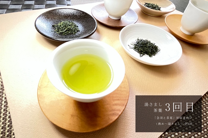 京都「プロ並み急須と茶葉セット」　初級者向け（熱め～湯さまし）全3回×3ヵ月コース〈定期便 お茶 茶 煎茶 緑茶 茶葉 雁が音 茎茶 焙じ ほうじ茶 急須 陶器 工芸品 セット〉 飲料類 加工食品 