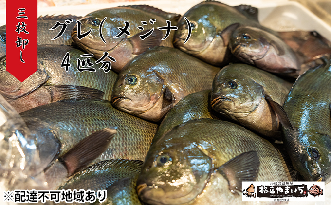 グレ（メジナ）生 3枚卸し×2匹分 魚介類 煮付け ムニエル フライ 冷凍 