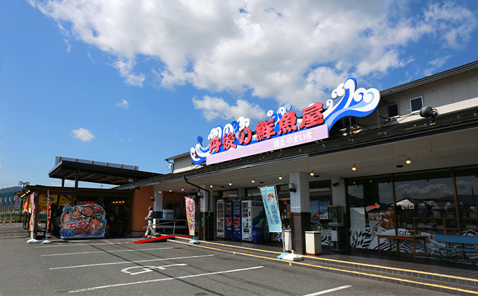 グレ（メジナ）生 3枚卸し×2匹分 魚介類 煮付け ムニエル フライ 冷凍 