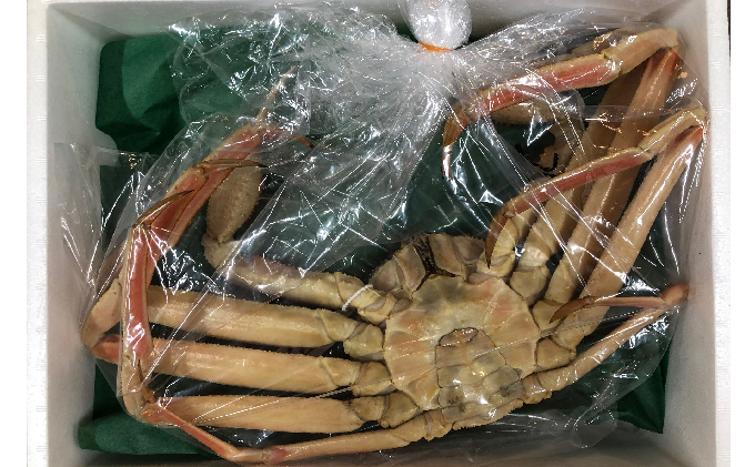 蟹 タグ付き 松葉蟹 (ボイル) 大1匹分[ かに カニ 松葉ガニ ] ブランド蟹 