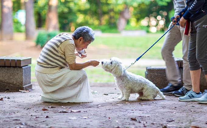 オーガニック鹿肉ペットフード（犬用）ドライタイプ　100g×4袋、1kg×2袋 エサ 