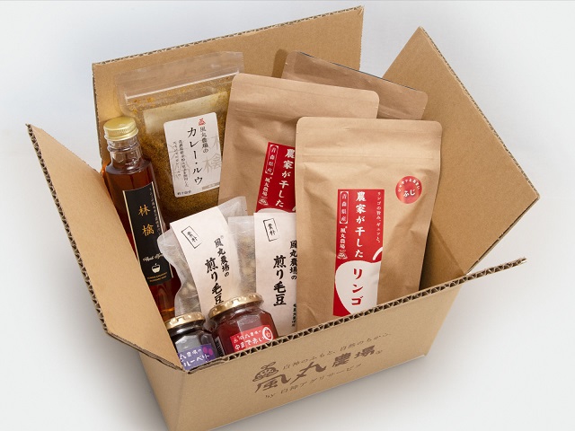 ドライフルーツ 大地の恵み セット L 風丸農場 ドライアップル ドライ フルーツ りんごジャム カレールー りんごシロップ ジャム 詰め合わせ りんご 干しリンゴ アップル ブルーベリー ラズベリー プルーン 柿 カレー シロップ 無添加 果物 青森